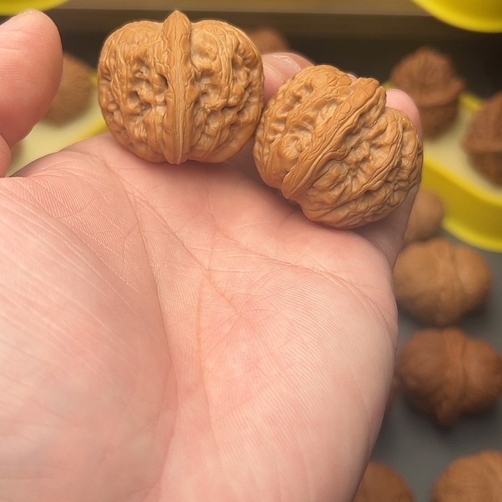 38尺精配练手对元宝