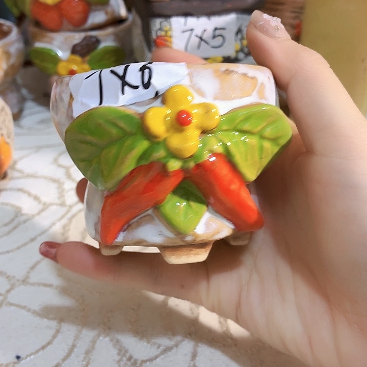 多肉花盆满15包邮