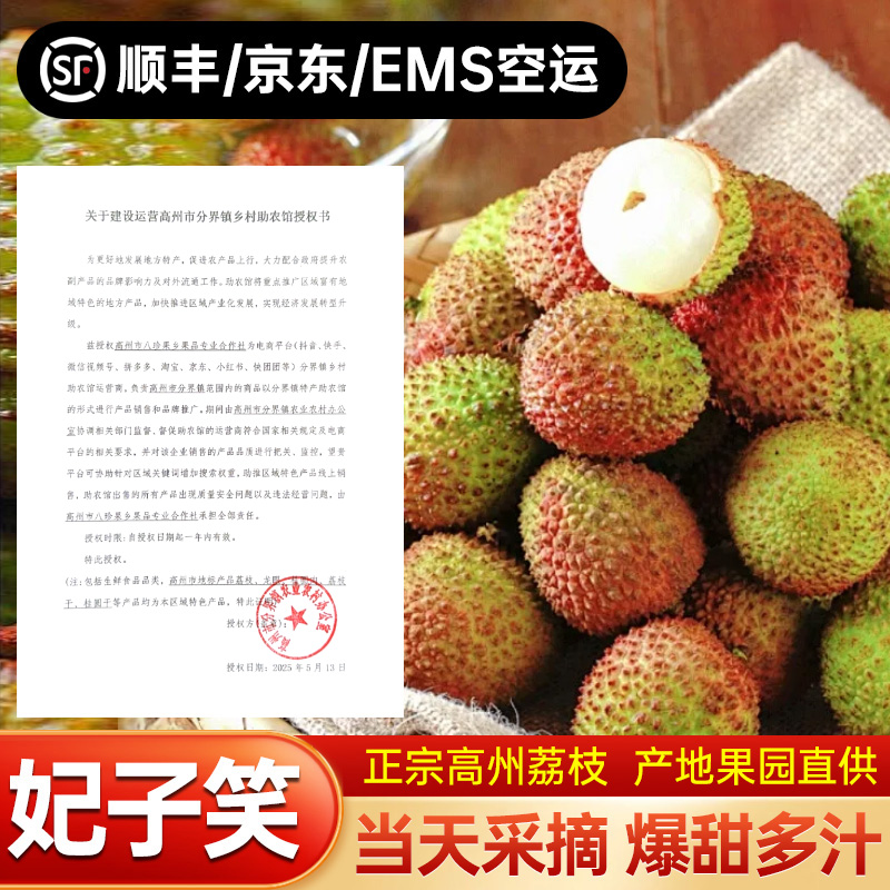 【头茬高州妃子笑荔枝】树熟新鲜现摘当季水果香甜饱满肉厚核小