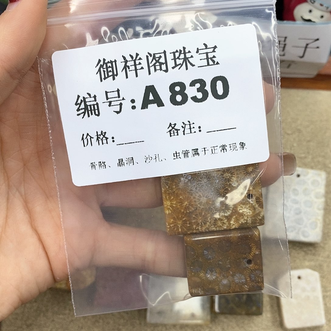 硅化珊瑚（珊瑚玉）A未镶嵌脆***子