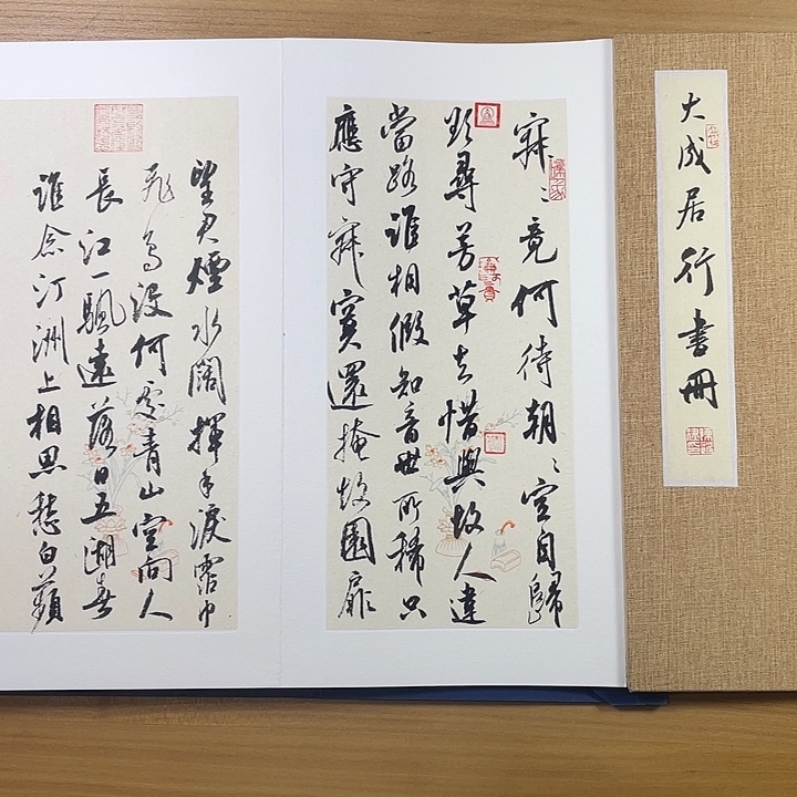 书法中书协会员作品