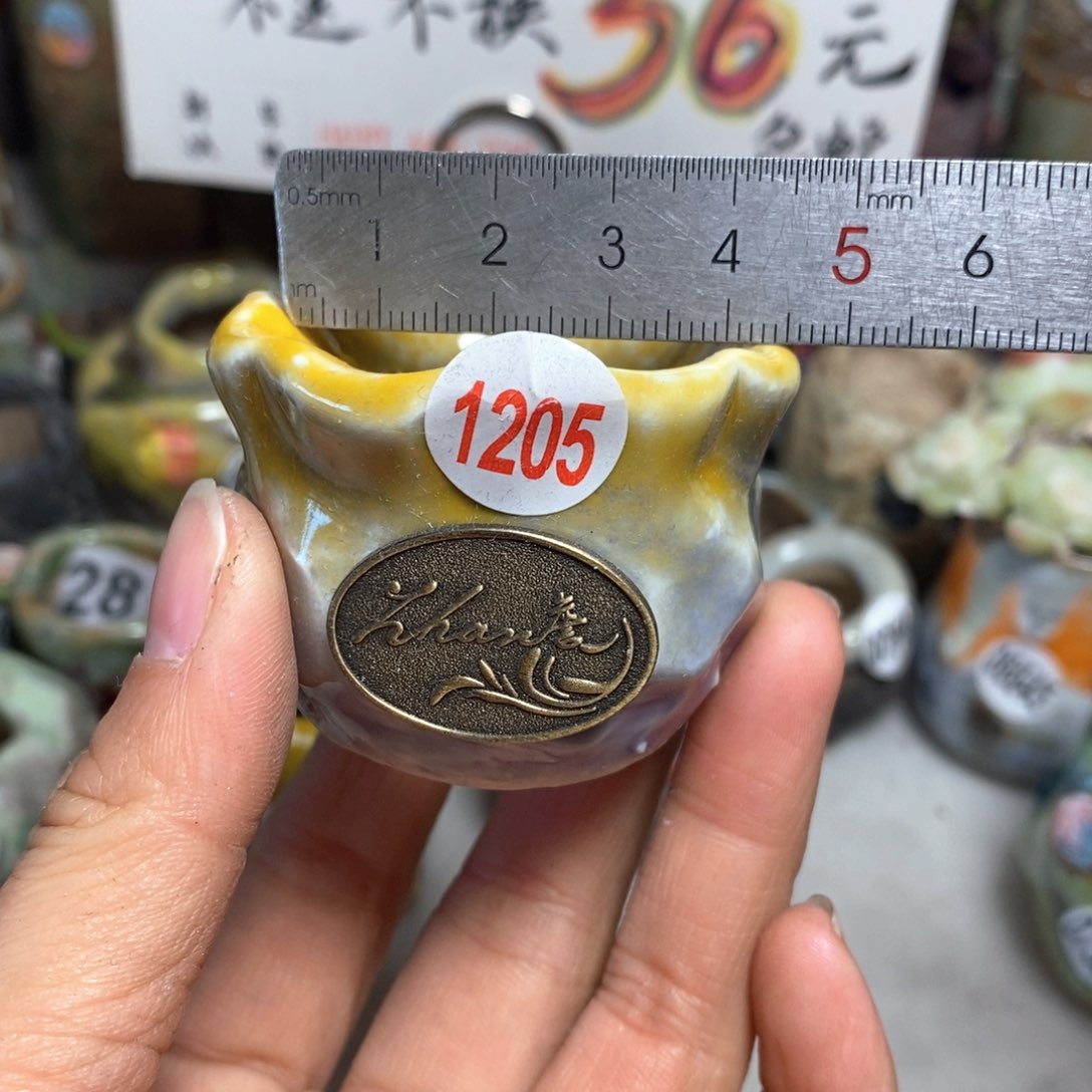 花盆拍5送一个小礼物