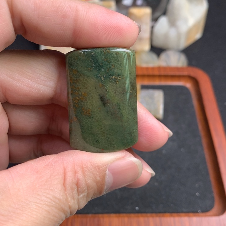 【闪购商品】硅化珊瑚（珊瑚玉）颈饰未镶嵌