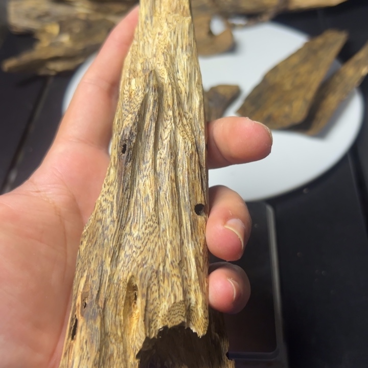 沉香沉香碎屑乌身虫漏87克