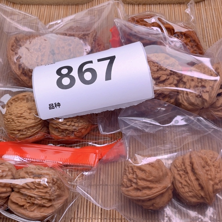 文玩核桃把件867号6对带练手元宝