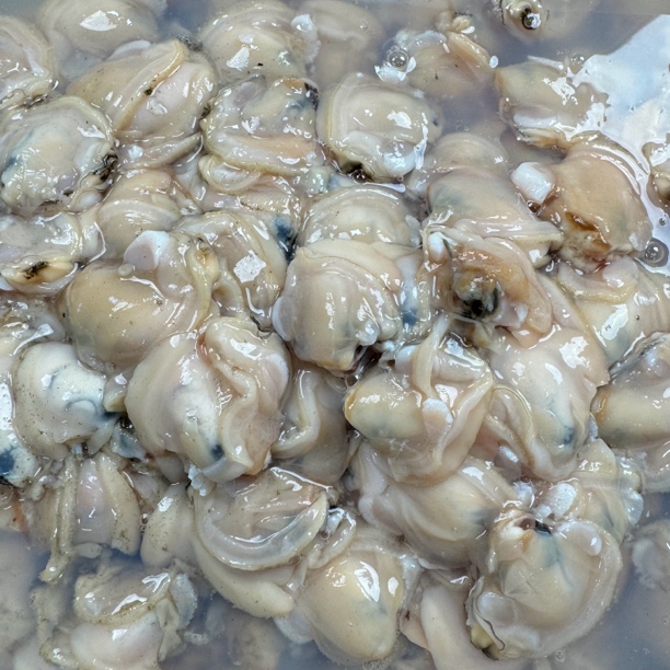 如东本港文蛤肉 白蛤肉 带原汁 真空冻 顺丰包邮