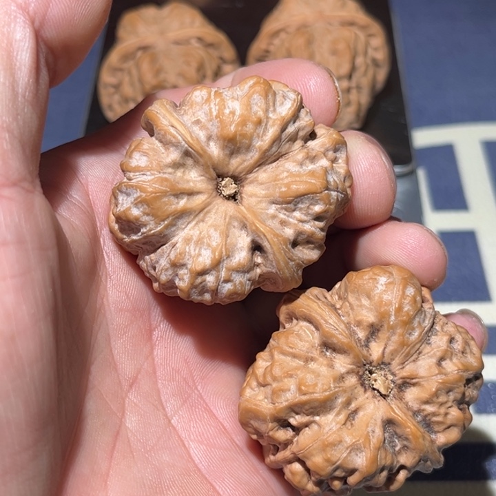 文玩核桃把件釨**有42，41.8蛤蟆头