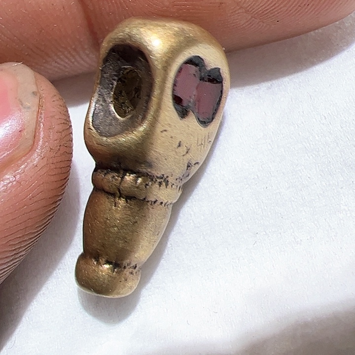 香榧木在家了一天