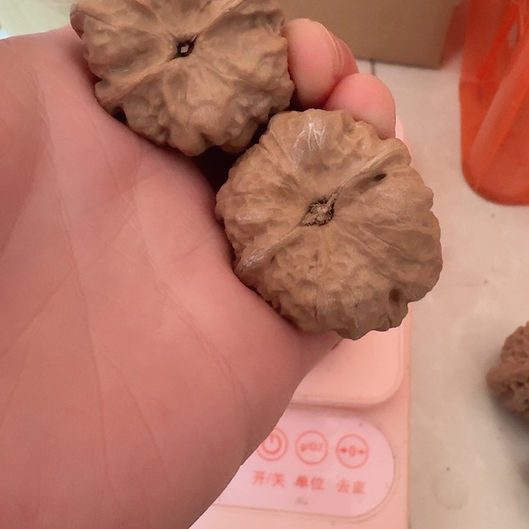 全品蛤蟆头狮子头39