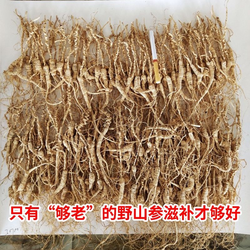 野生林下参长白山林下参足干山参可用于泡酒的