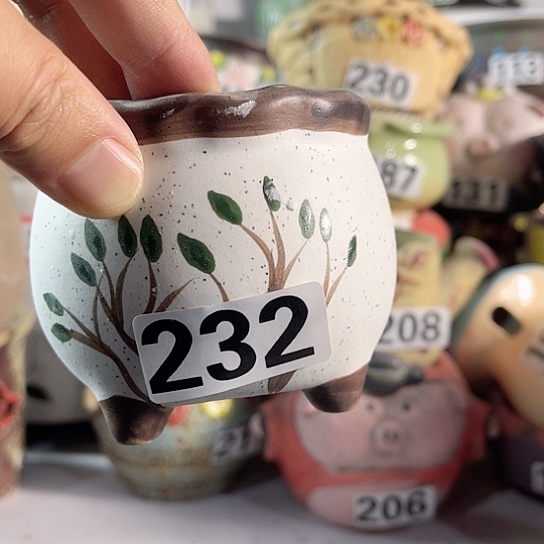 红陶多肉植物花盆