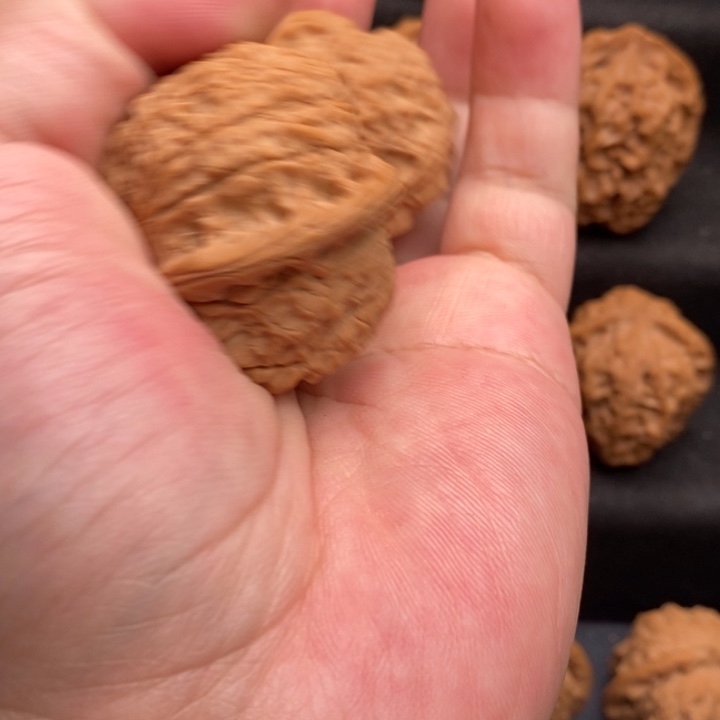 文玩核桃把件五**雨原树血麒麟