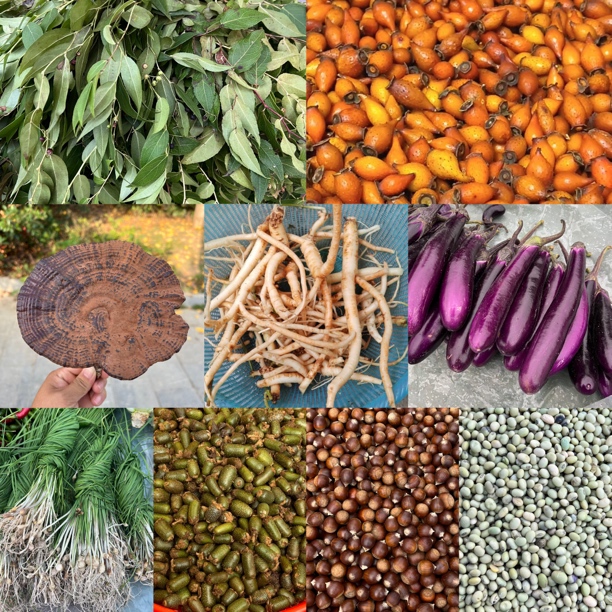 【农家土货】羊奶奶新鲜辣椒萝卜等贵州山货农特产1斤/件起