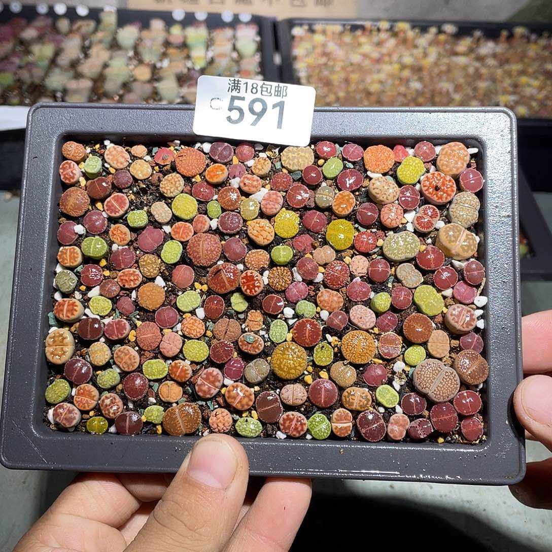 当天凑满十八元包邮591