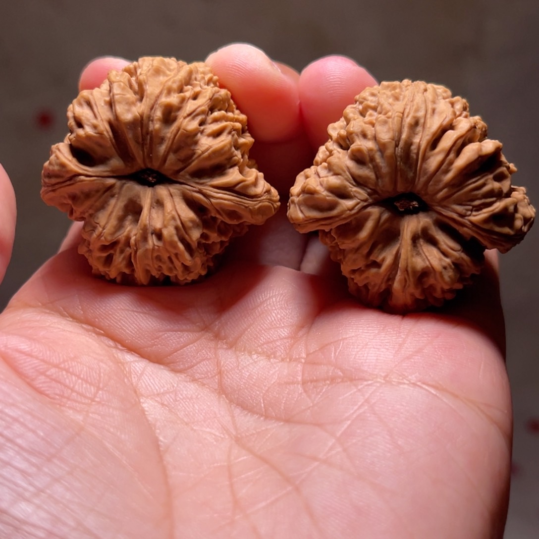 文玩核桃把件D****s南疆