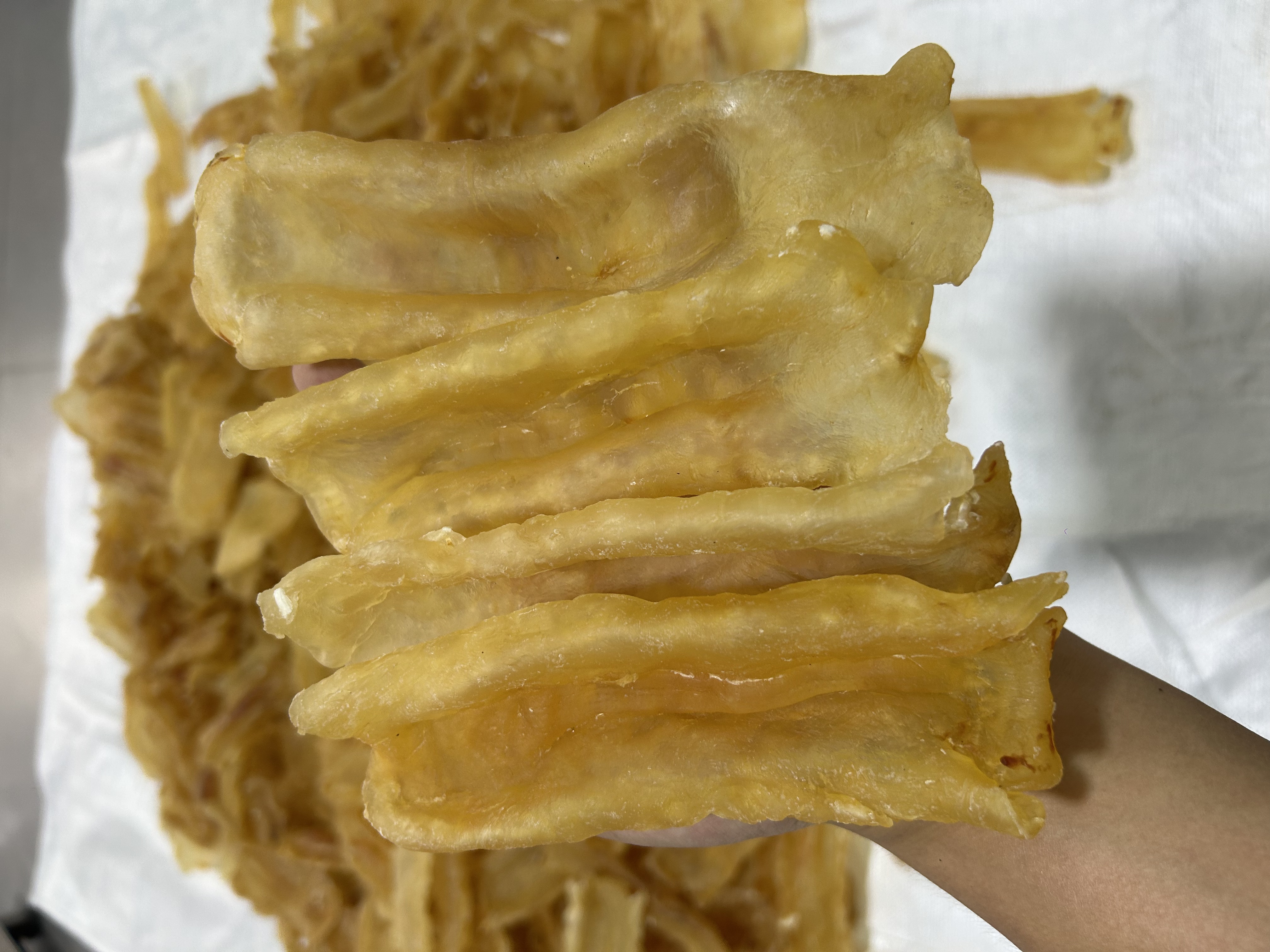 【丑巴怪】新某兰鳕鱼胶6-7头