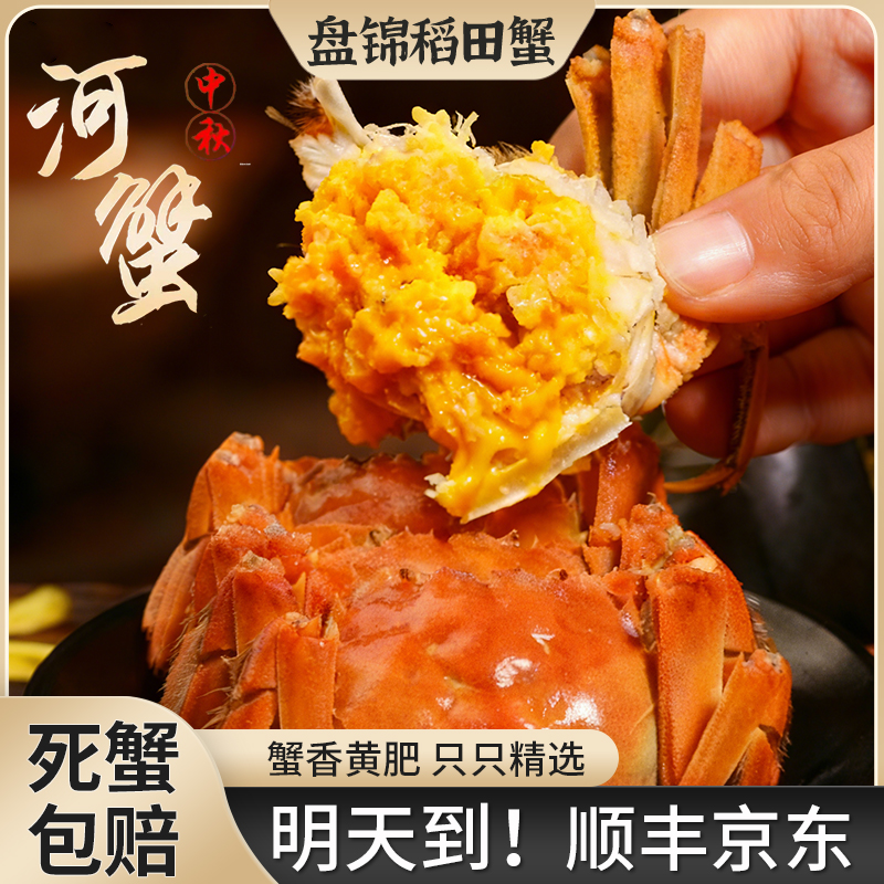 明天到【活纯母蟹】1.0-1.3两/只盘锦河蟹顺丰京东发货12只送12只共发24只童小二TY1