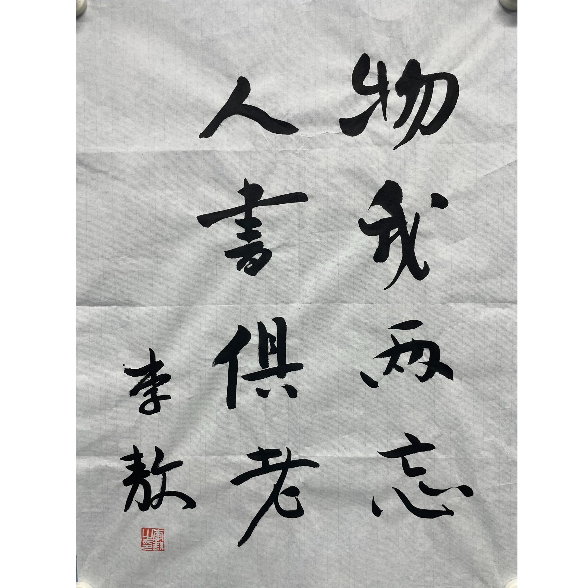 李敖软片70*51cm 约3.2平尺