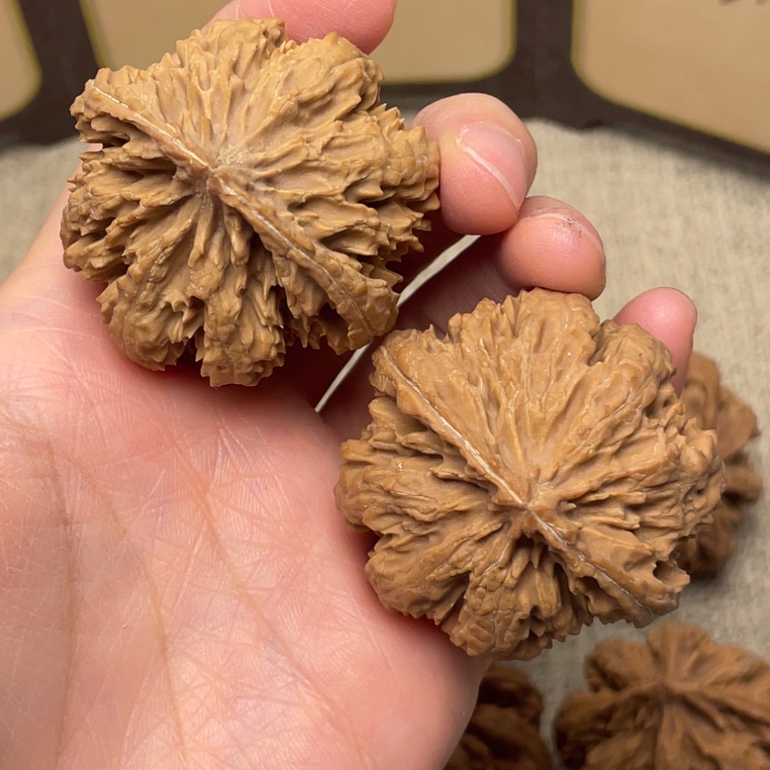 虚***白文玩核桃把件秦岭核桃43号