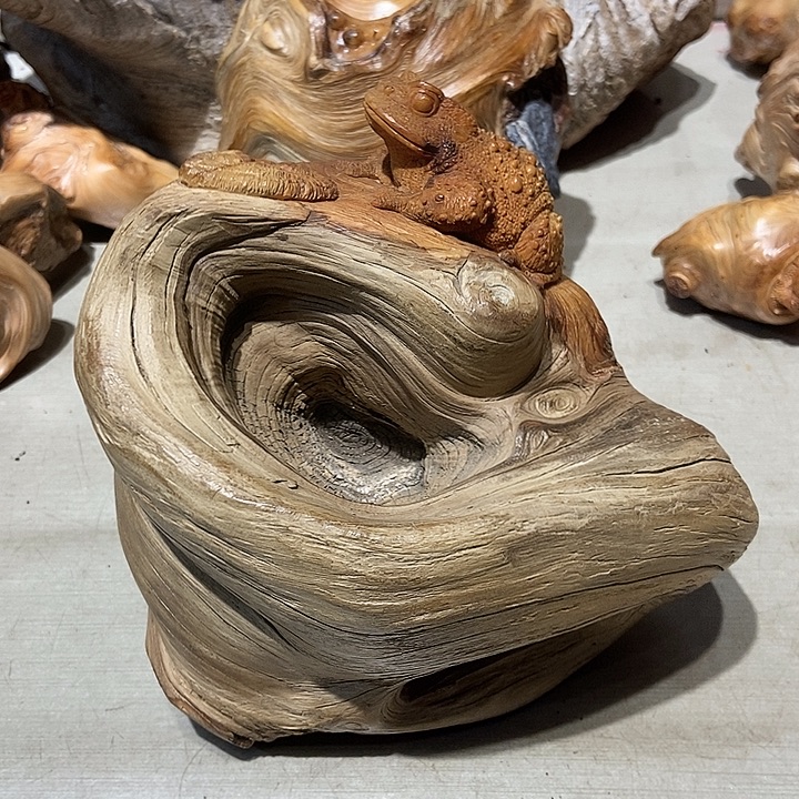 往***f柏木太行山区柏木木木