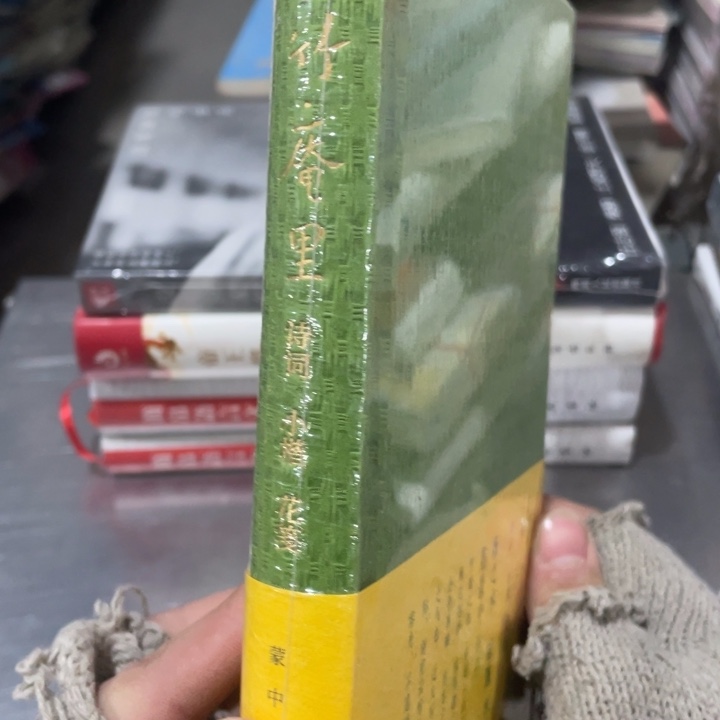 竹庵里正版精装塑封