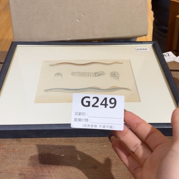 版画m***哈回流老物不退不换