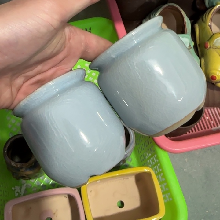 2《所有单满15发（花盆）》6×8