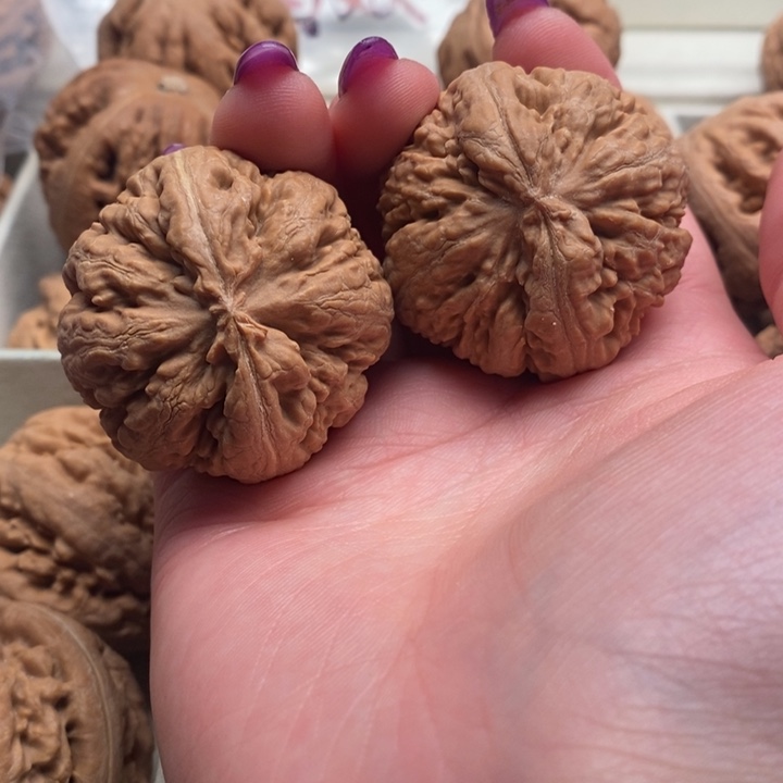 入***世吊坠文玩核桃霸王龙