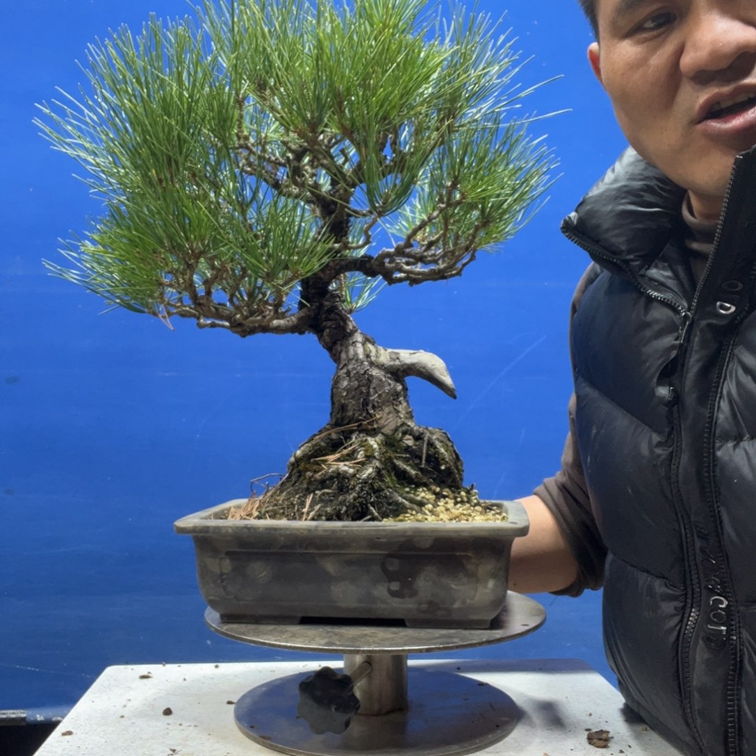 生***扰无花朵8088888000888