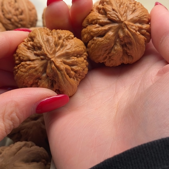 陳***）文玩核桃把件霸王龙