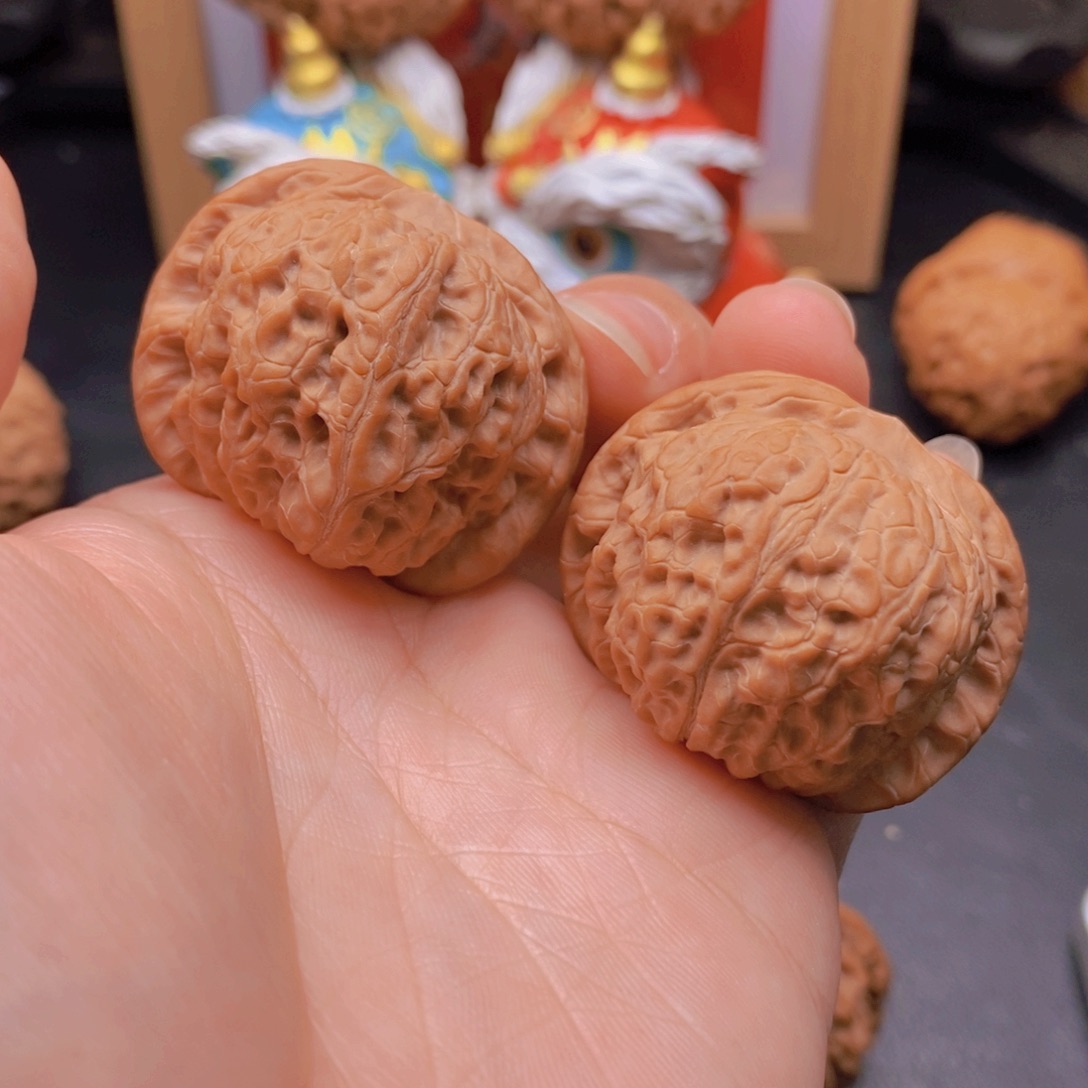 39尺全品血麒麟老树