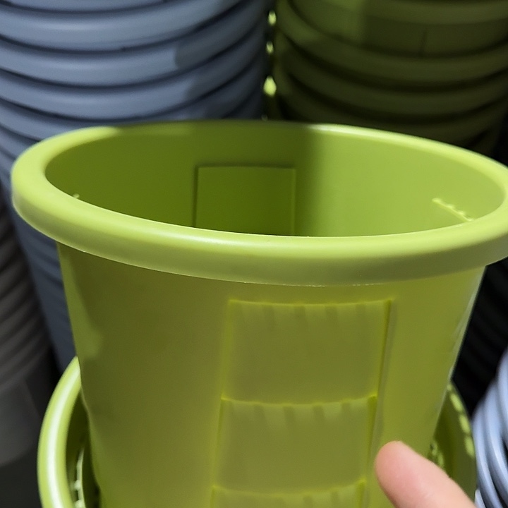 编号801果绿无托4个