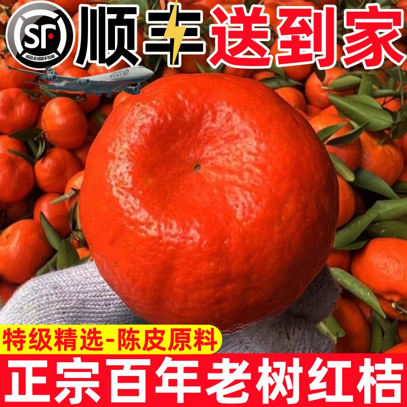 【顺丰专属次日达】百年老树正宗万州古红桔川红橘陈皮顺丰包邮新鲜水果全国次日达爆汁口味橘子耙耙柑重庆市