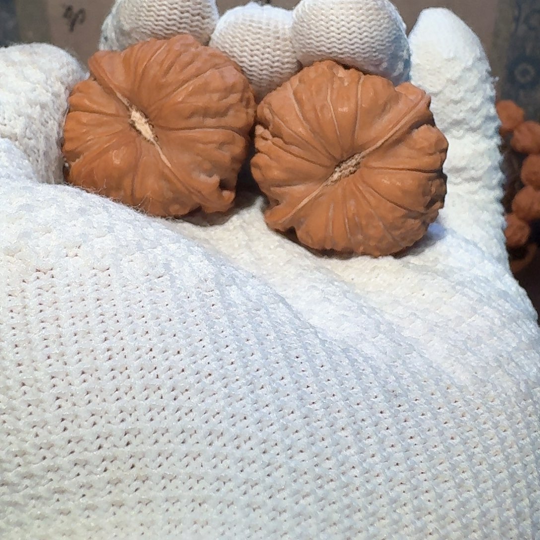 文玩核桃吊坠核桃南瓜