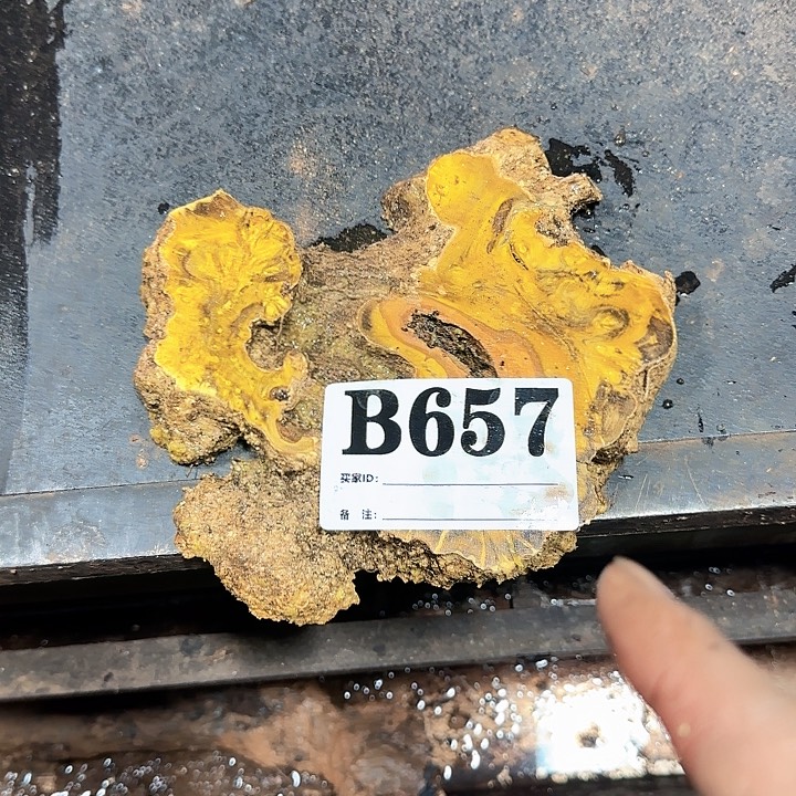 微凹黄檀（南美大红酸枝）