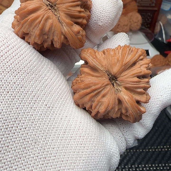 文玩核桃吊坠全品山地楼42口头果福利