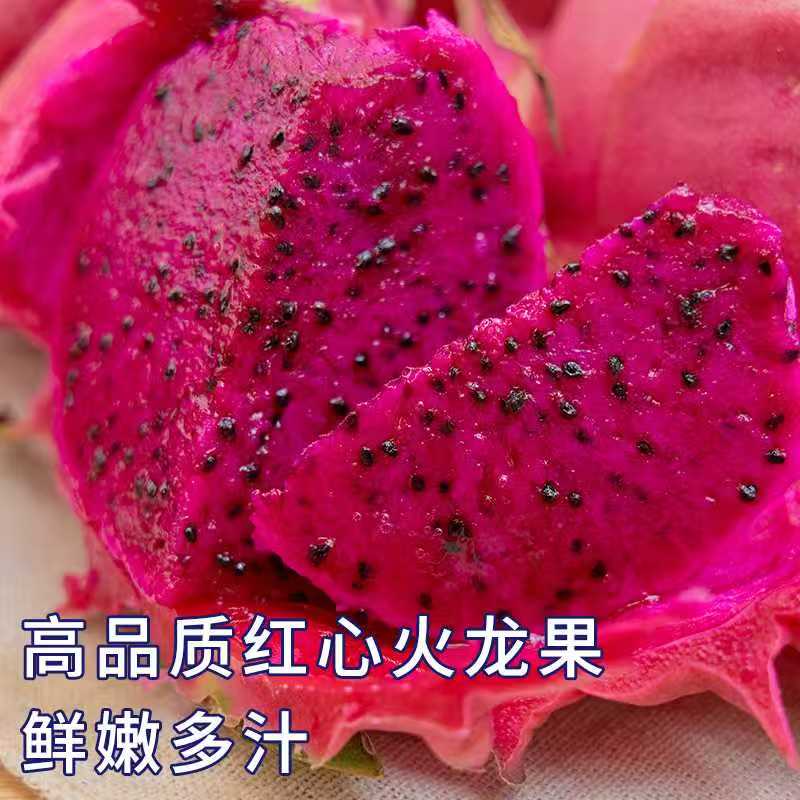 金都一号云南红心火龙果现摘现发当季新鲜整箱皮薄当季新鲜水果