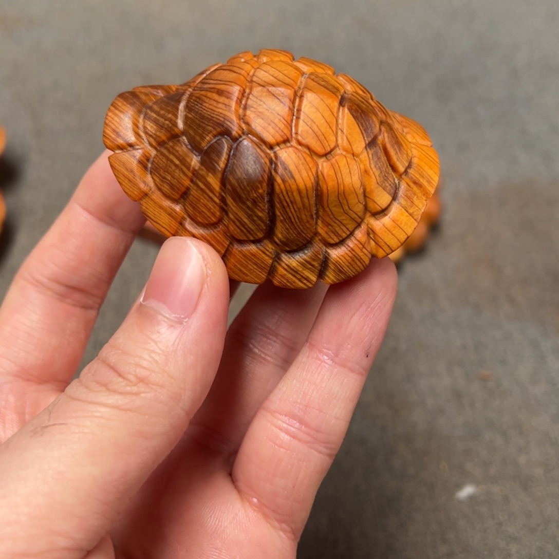 柏木（崖柏）北太行陈化崖柏