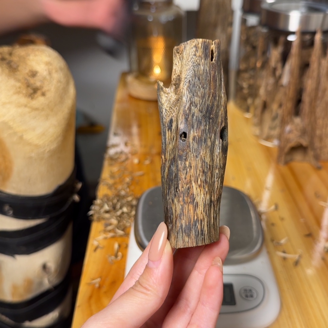 沉香白奇虫漏香22克