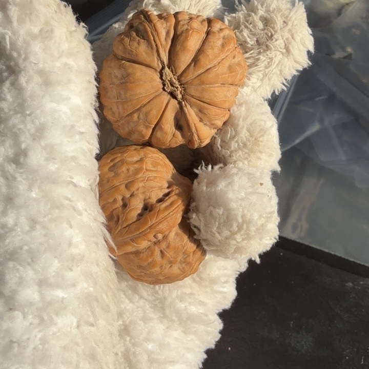 吊坠文玩核桃南瓜墩41.42.43