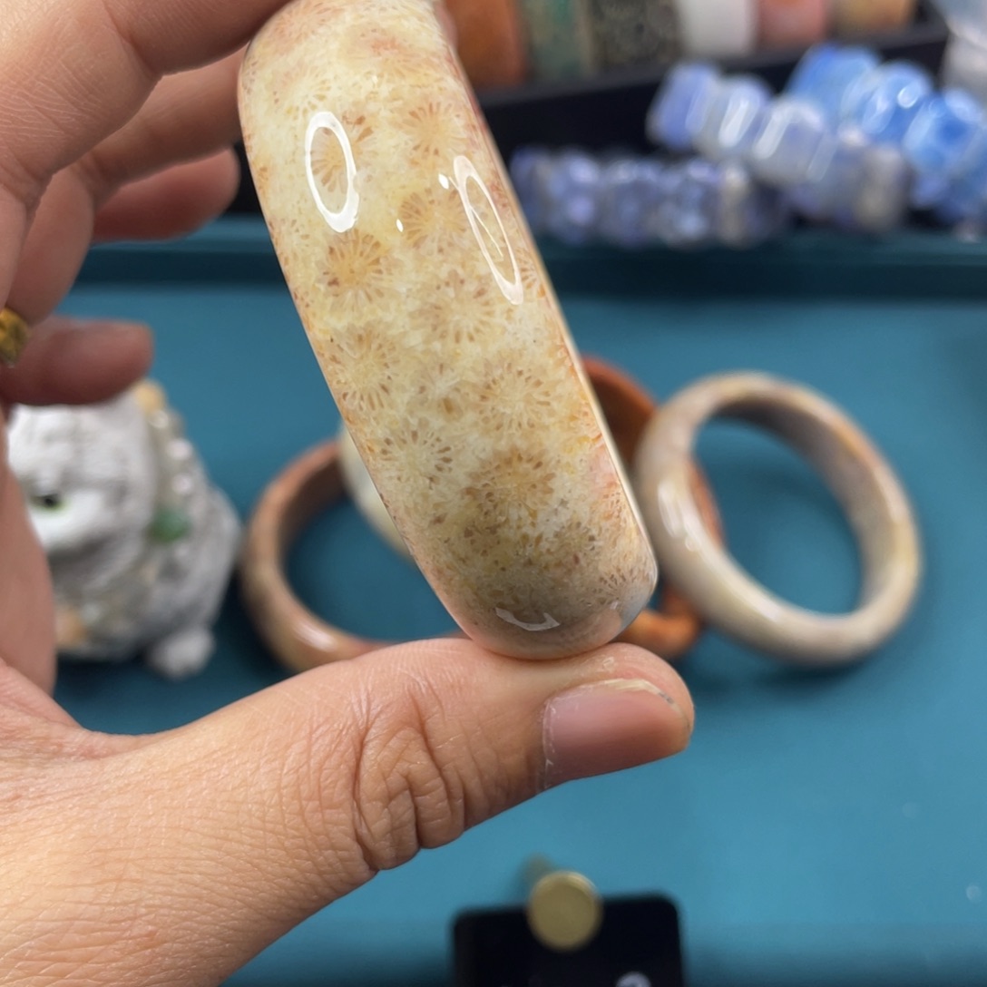 未镶嵌手镯硅化玉