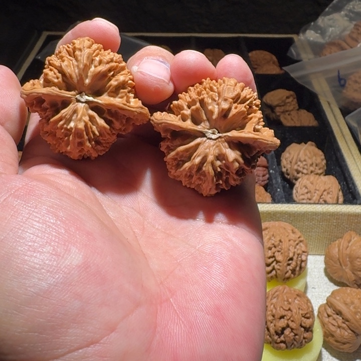 帝***辛吊坠文玩核桃满天星