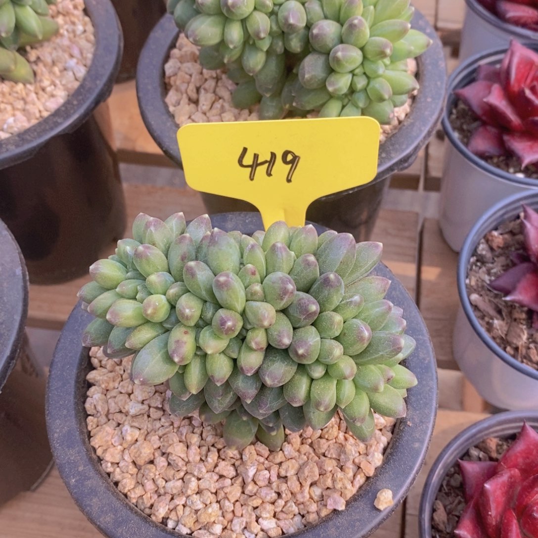 周末愉快，一单包邮