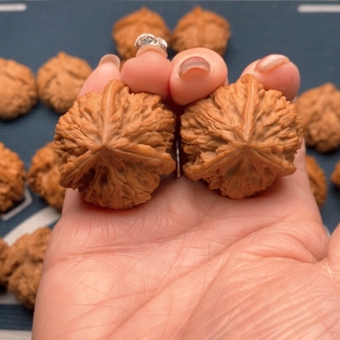 橄榄核手串/手链文山三棱35