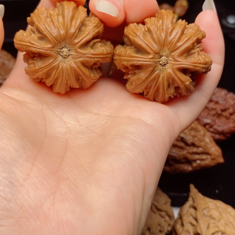 桃核把件萌***丫东北秋子