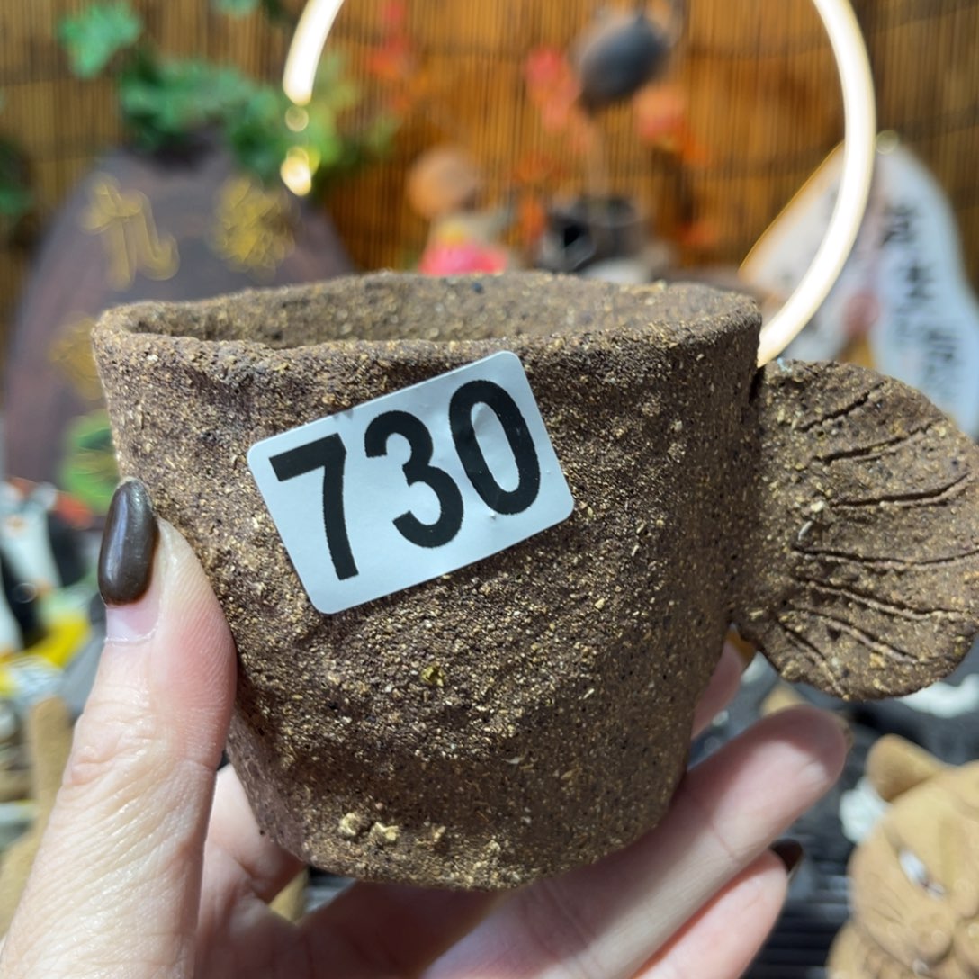 木村信弘柴烧保平