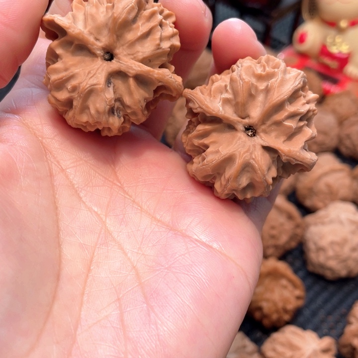 原装苹果园4.0全品无修，