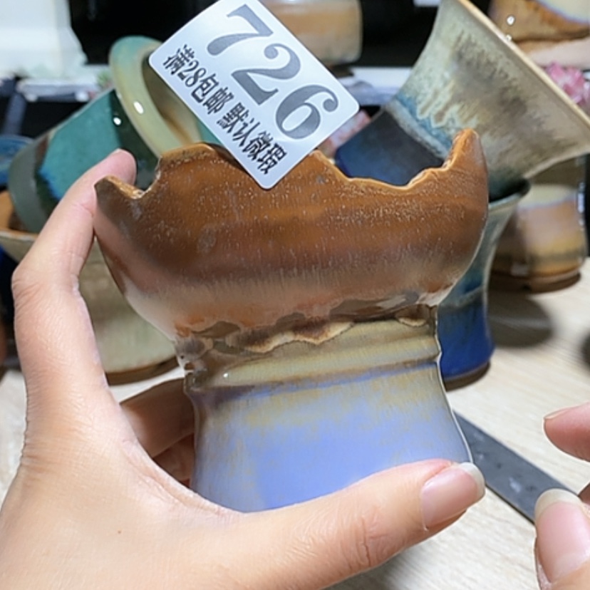 【闪购商品】红陶口10