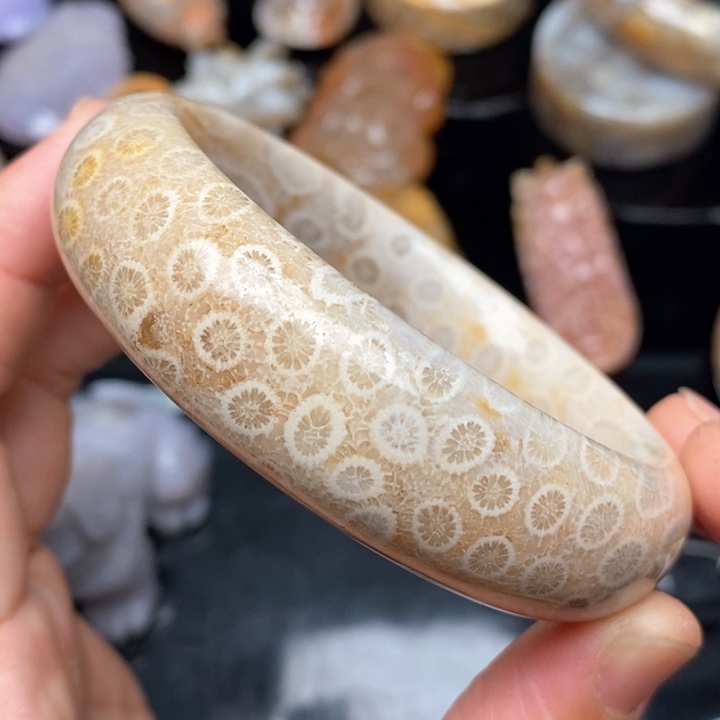 硅化珊瑚（珊瑚玉）手镯9K金镶嵌59