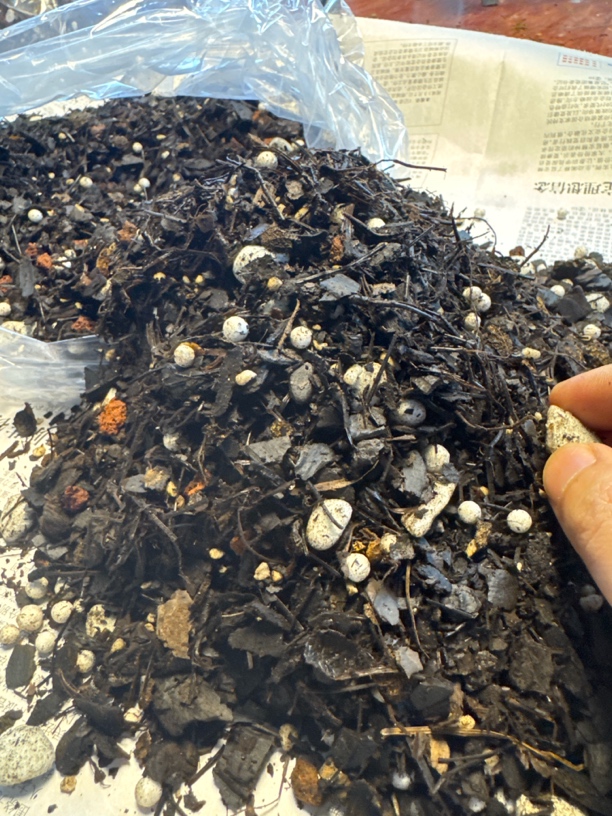 兰花专用中颗粒营养土透气植料适合兰科植物种植